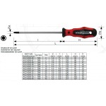 Šroubovák TORX 25 / 125 mm profi 4CZech